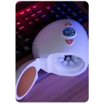 electric pocket pussy