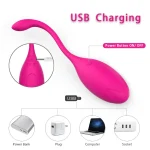 vibrating egg wireless remote kegel