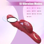 swan rabbit vibrator clitoris stimulator
