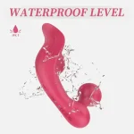 remote control couple vibrator wearable