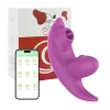 APP Vibrator-365016